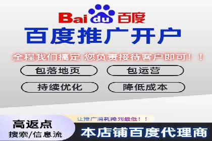 百度推广代运营公司成功案例：精准投放广告的秘诀